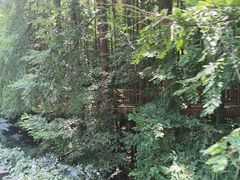 -山王坪喀斯特国家生态公园