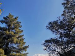 -苍山感通索道