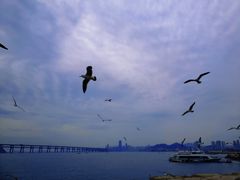 -星海广场