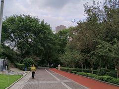 -龙头寺公园