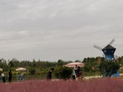 -日照海滨国家森林公园