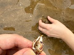 -宁波松兰山滨海旅游度假区