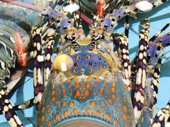 -渔民新村(番禺总店)