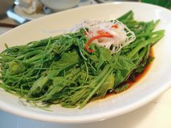 白灼瓜尖-初蓉丨遇见新川菜(亲贤街荣耀店)