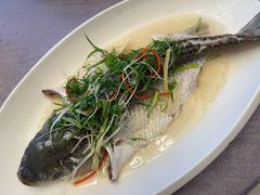 -和平馆·地道港澳茶餐厅(西门口店)