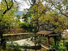 -塔川景区