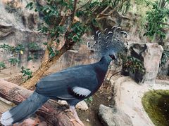 -清迈夜间动物园