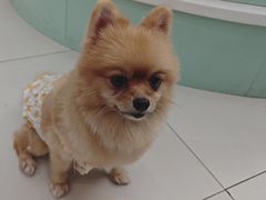 -怪兽屋·羊驼·猫咖·狗咖(俊华广场店)