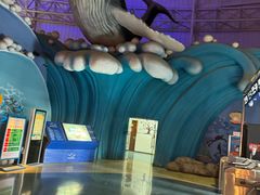 -烟台海昌鲸鲨海洋公园