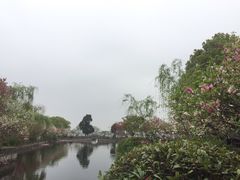 -无锡蠡湖国家湿地公园-蠡园