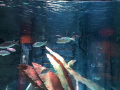 -沈阳海洋探索中心