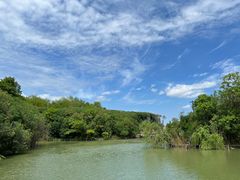 -上海吴淞炮台湾国家湿地公园