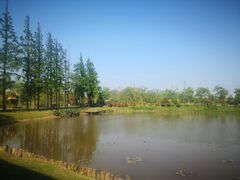 -上海长兴岛郊野公园