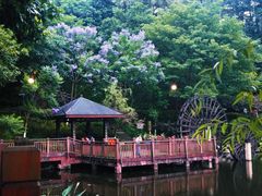 -重庆彩云湖湿地公园