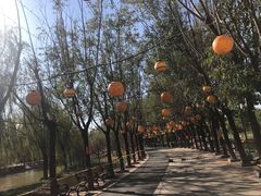 -杨柳青庄园