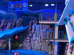 -烟台海昌鲸鲨海洋公园