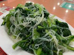 粉丝小白菜-教师之家赵家羊汤馆(东青龙街店)