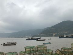 -北岐滩涂