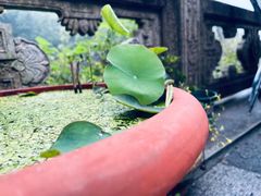 -韬光茶庵