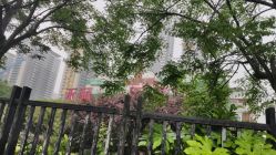 -禾丽康美医疗美容医院