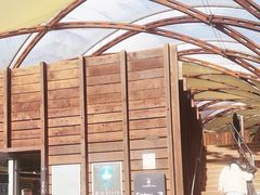 -怀托摩萤火虫洞