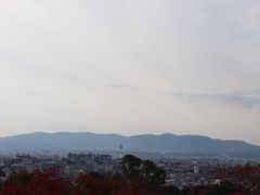 -有栖山 清光院 清水寺