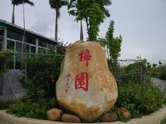 android_upload_pic-海鸥岛