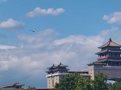 -莲花池公园