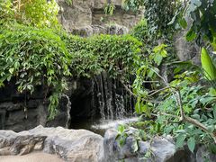 -西安世博园