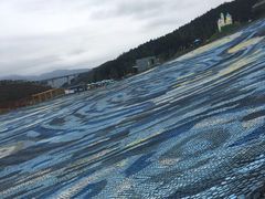 -瓷天下海丝谷