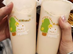 -猫的魔法密林(衣裳街店)