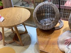 -藏猫猫咖啡主题馆(中央大道店)