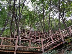 -大岭沟猕猴桃谷风景区