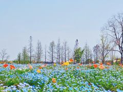 -苏州上方山国家森林公园
