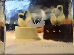 -BLACKSWAN黑天鹅(环球店)