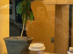 -村口大树(长乐路店)