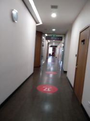 -上海玫瑰医疗美容医院