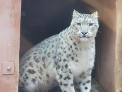 -青藏高原野生动物园