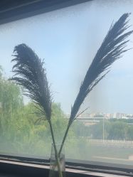 -斐尔国际皮肤管理中心