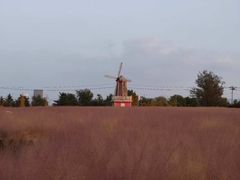 -羊亭河湿地公园