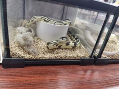 -三旗百汇商品城