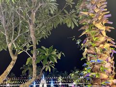 -西安赛瑞喜来登大酒店