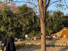 -HERRE·FARM 赫尔露营农场·团建聚会包场