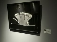 -徐汇艺术馆