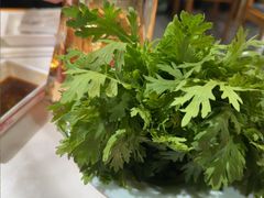 -曲氏老北京铜锅涮肉•火锅(不老街店)