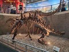 -国家自然博物馆