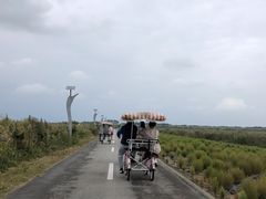 -盐城丹顶鹤湿地生态旅游区