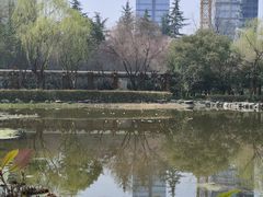 -木塔寺遗址生态公园