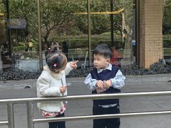 -南宁荔园维景国际酒店·荔园中餐厅