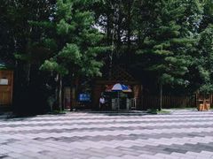 -吊水壶国家森林公园